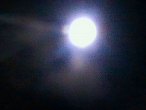 20120930.jpg