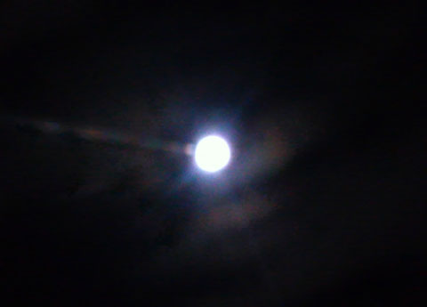 P1011367.jpg