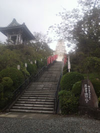 P1011393.jpg