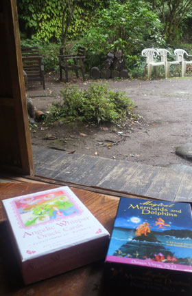 P1010186.jpg